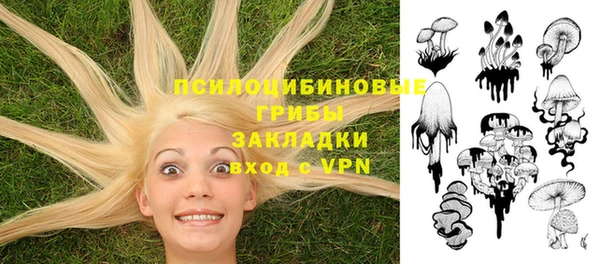 мяу мяу мука Богданович