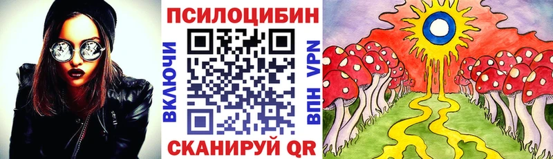Купить  Бавлы  Галлюциногенные грибы мицелий 