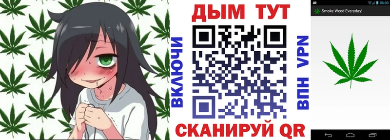 Конопля план  Купить  Бавлы 